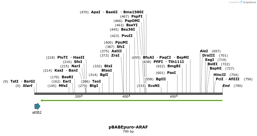 78844_map