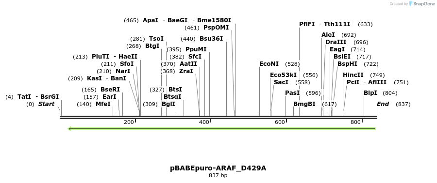 78845_map