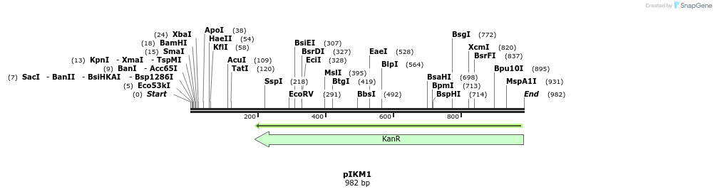 78846_map