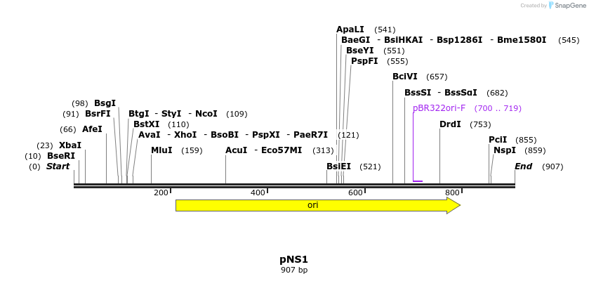 78847_map