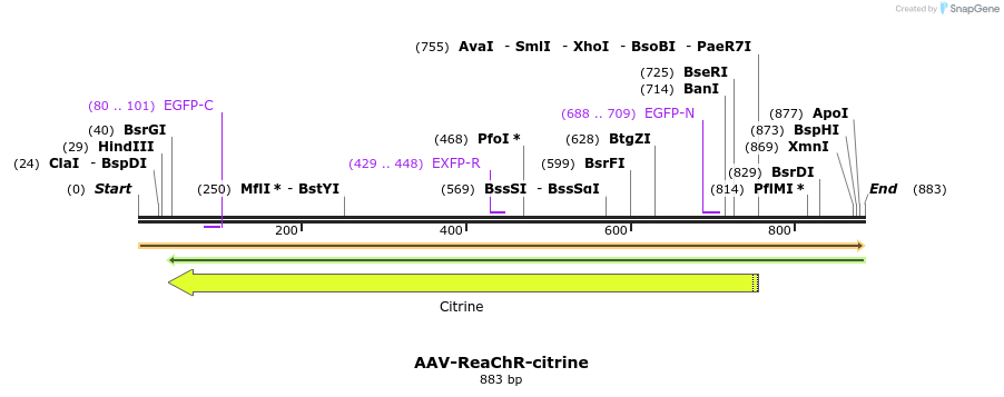 78849_map