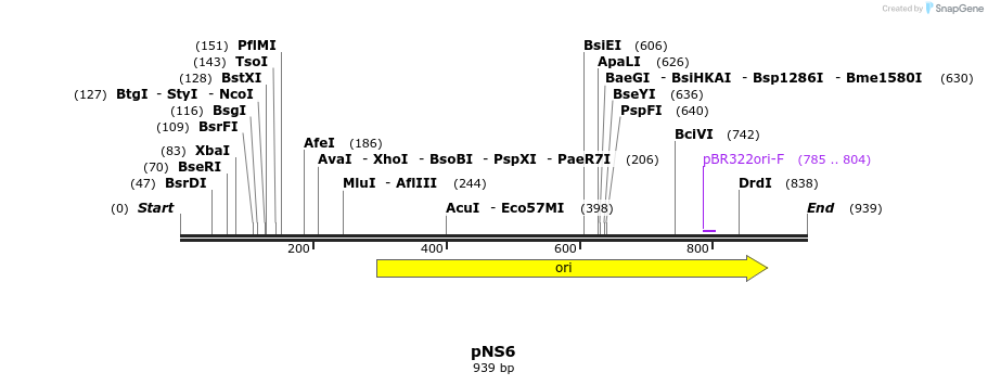 78850_map