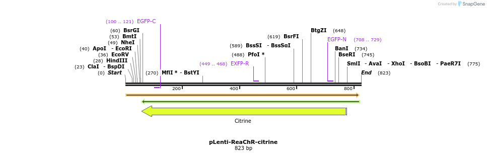 78851_map