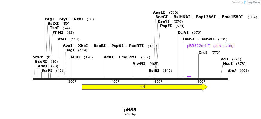 78853_map