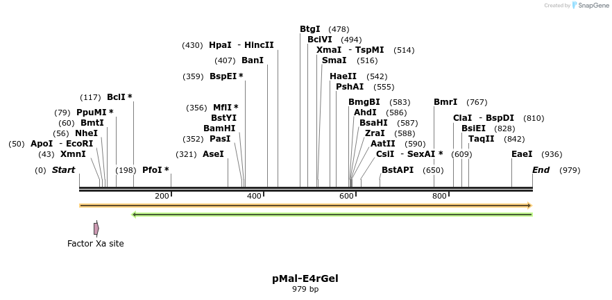 78858_map