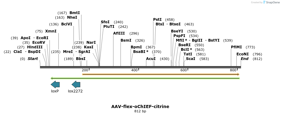 78859_map