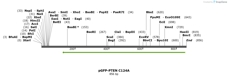 78860_map