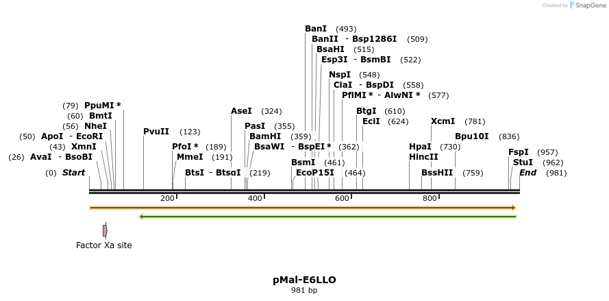 78863_map