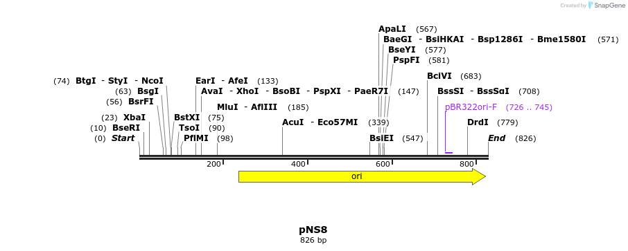 78864_map