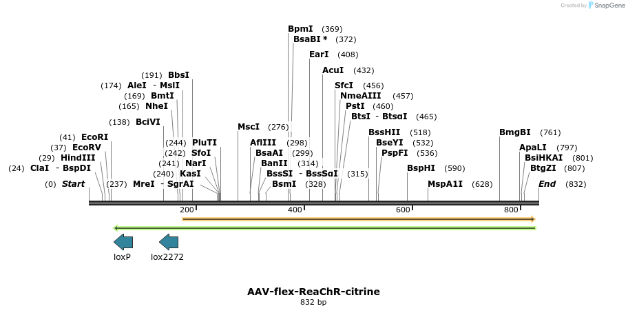 78865_map