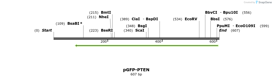 78866_map