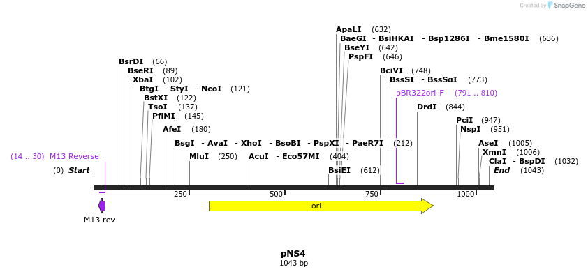 78868_map