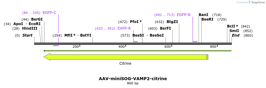 78869_map