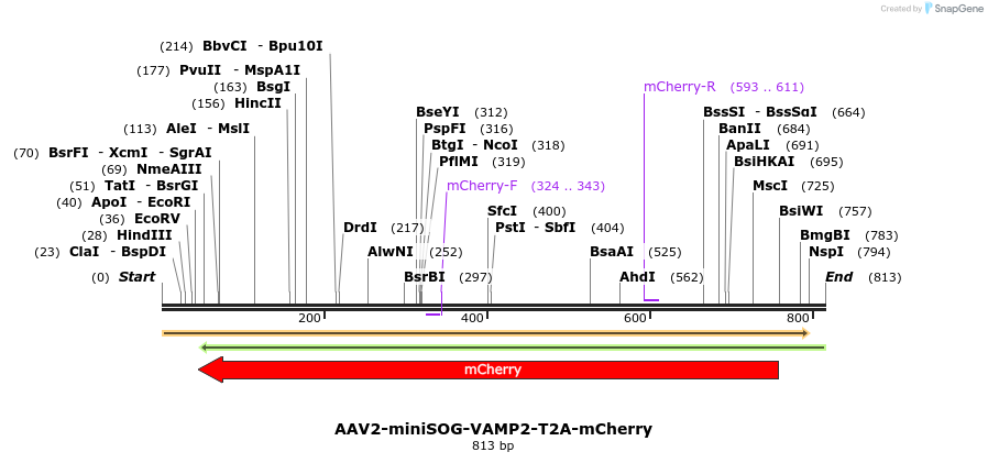 78870_map