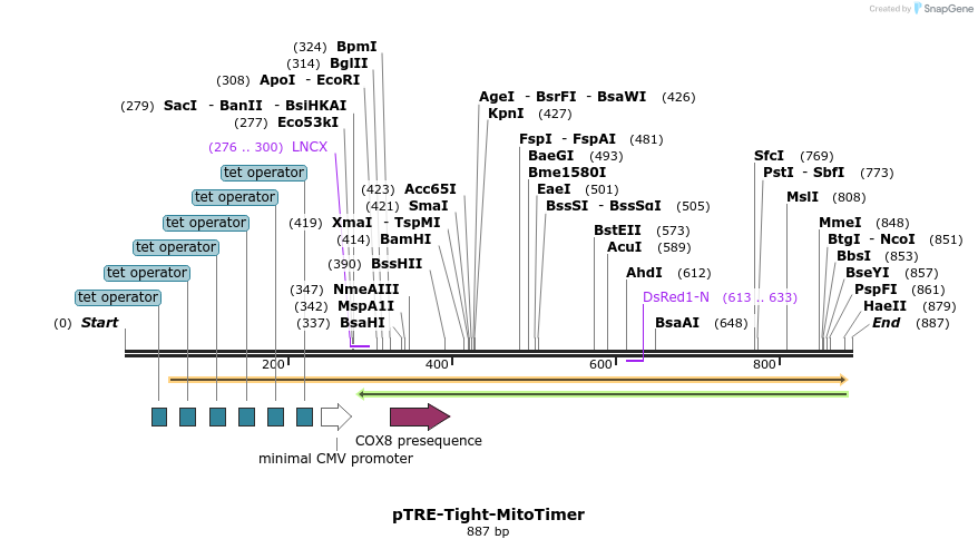 78872_map