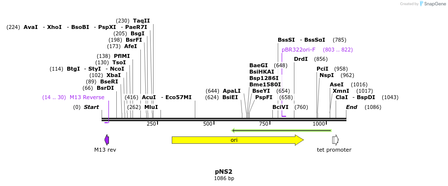 78874_map