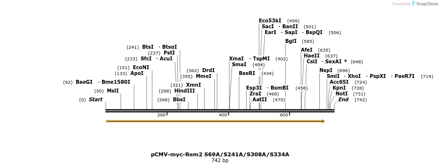 78878_map