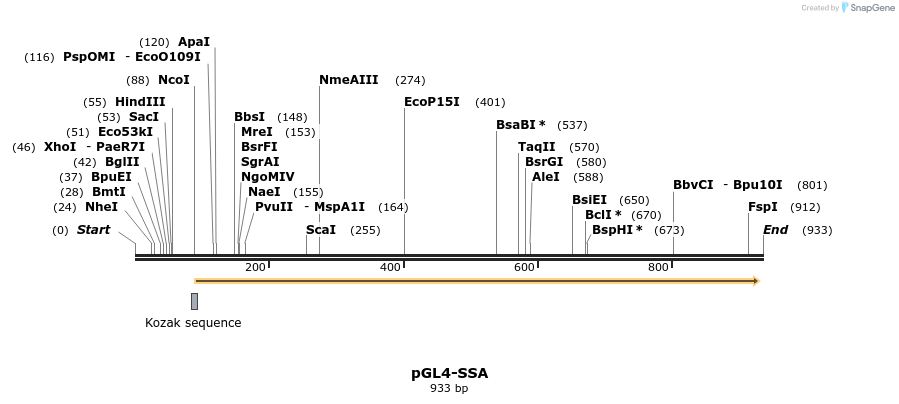 78881_map