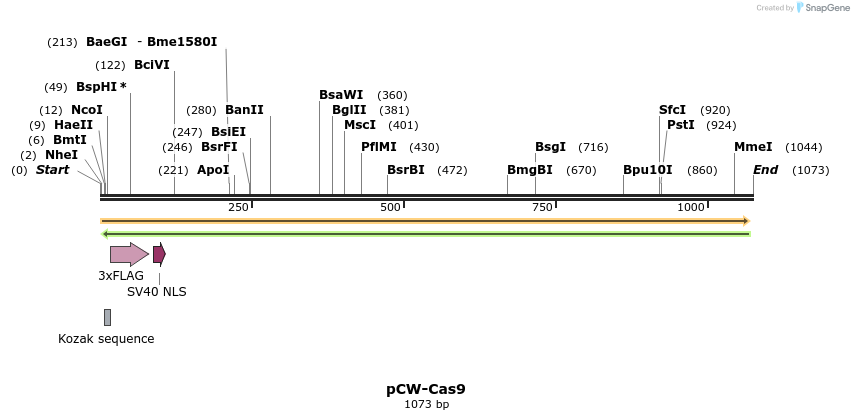 78886_map