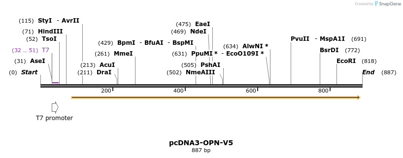 78894_map