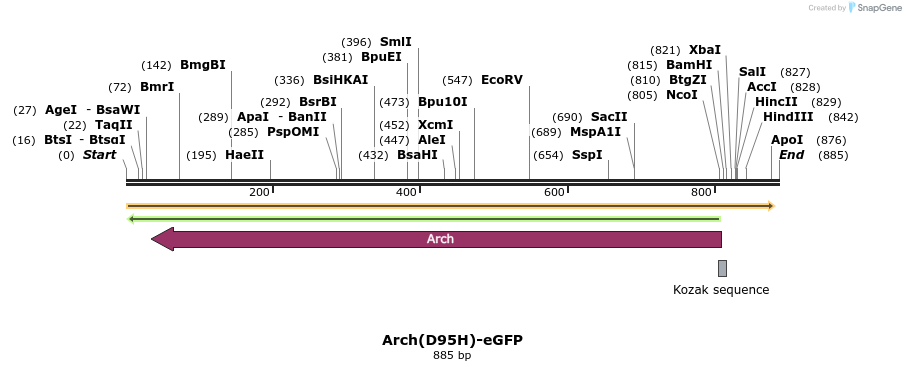 78896_map