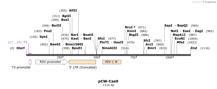 78903_map
