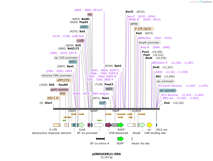 78904_map