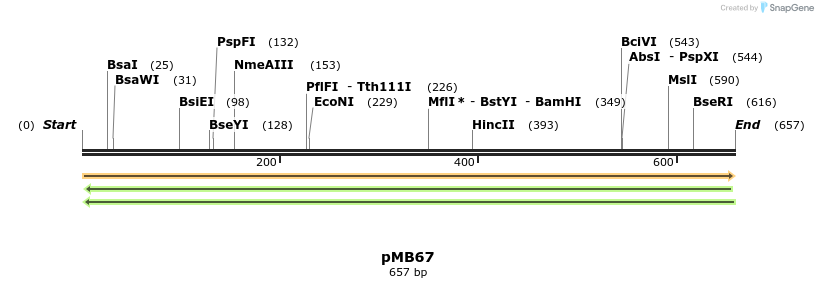 78907_map