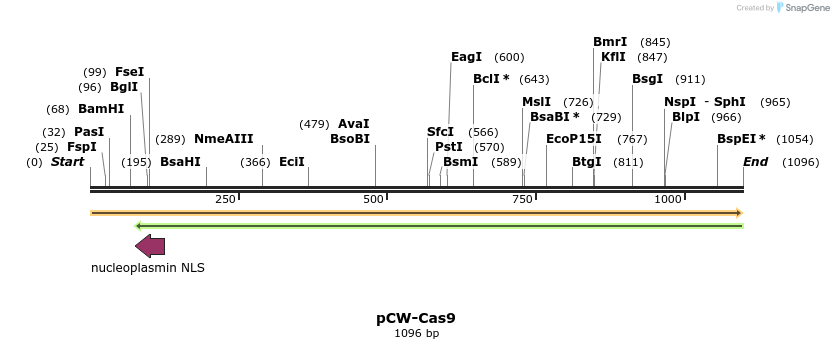 78908_map