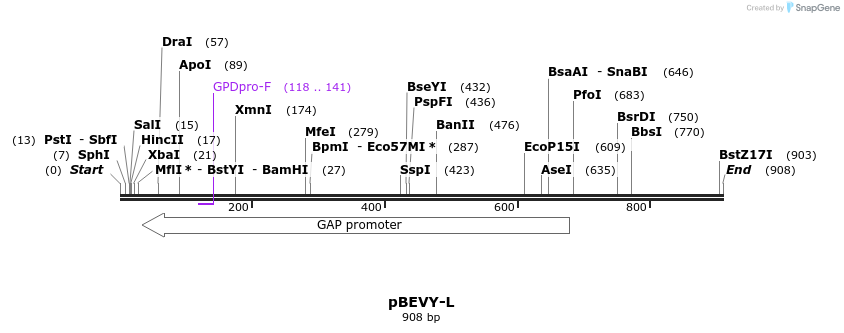 78920_map