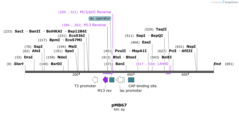 78924_map