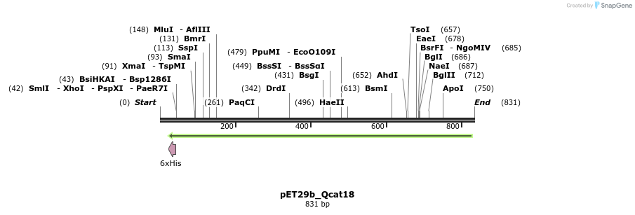 78925_map