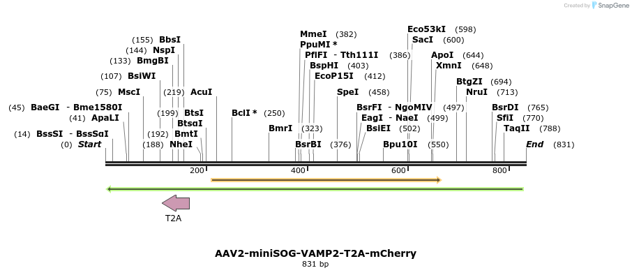 78929_map