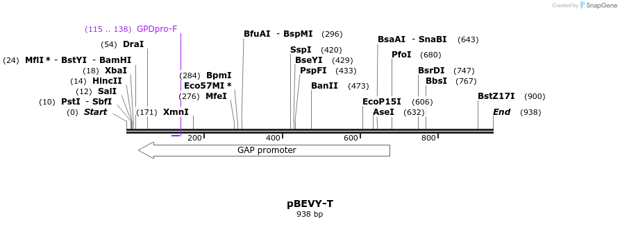 78931_map