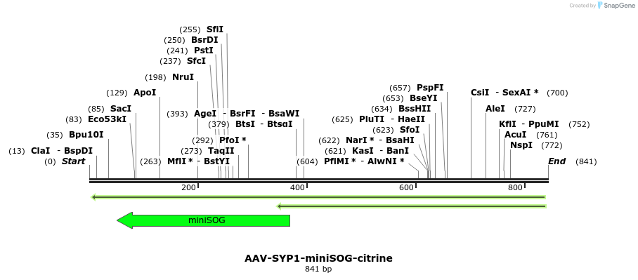78936_map