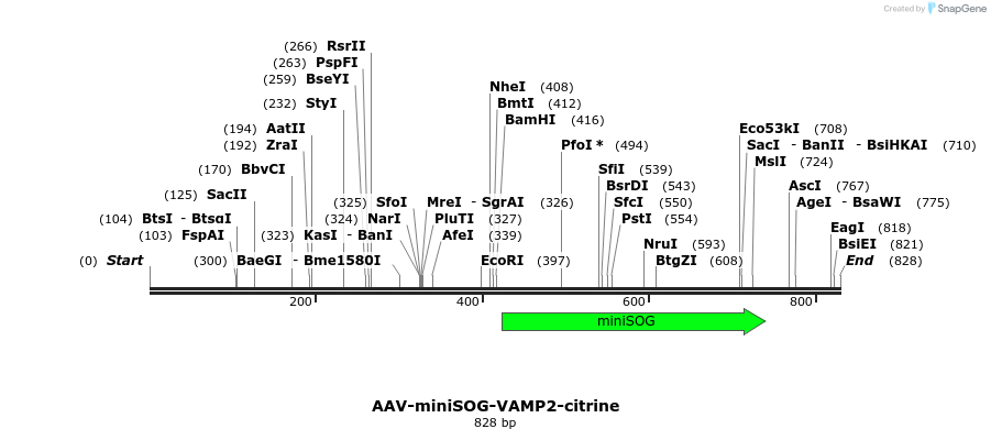78939_map