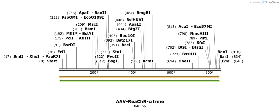 78941_map