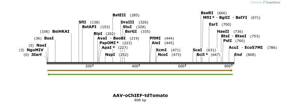 78949_map