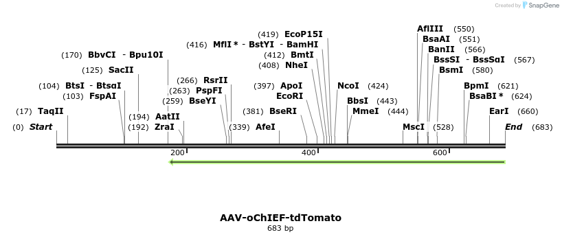 78950_map