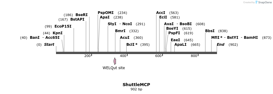 78952_map