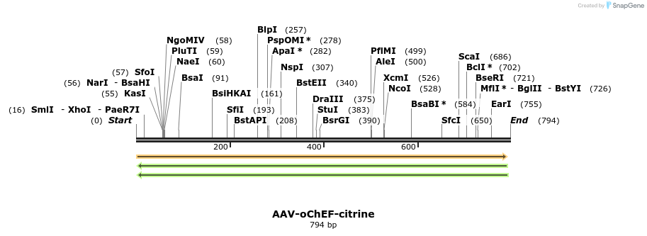 78957_map