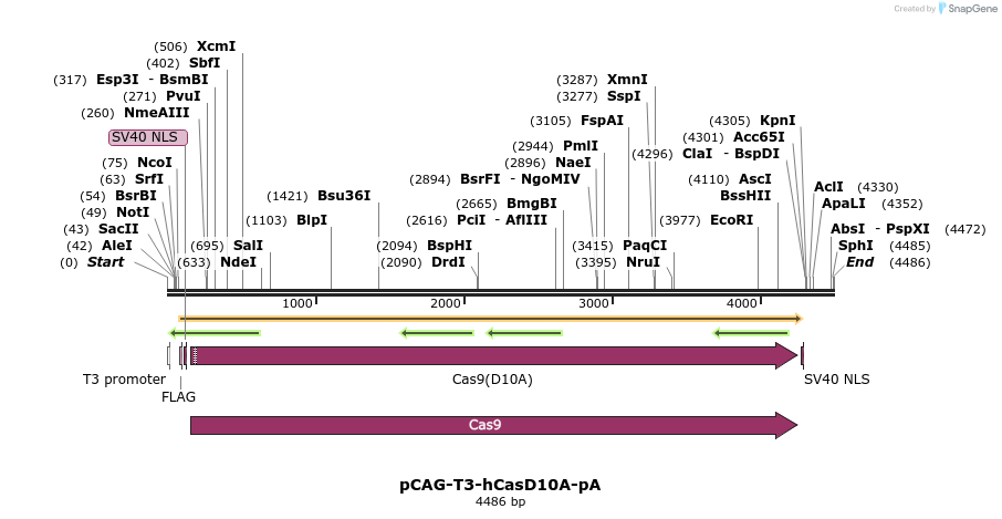 78959_map