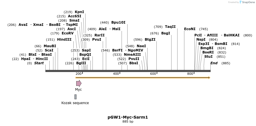 78980_map