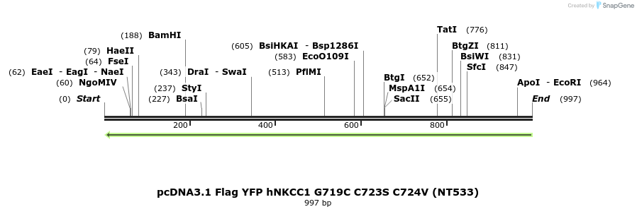 78982_map