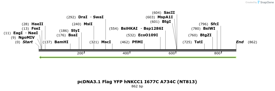 78983_map