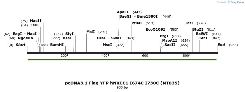 78984_map