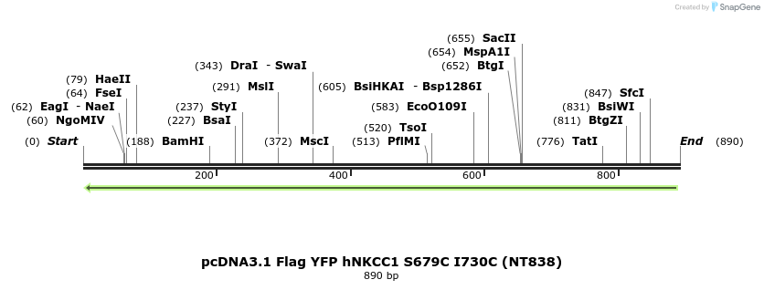 78985_map