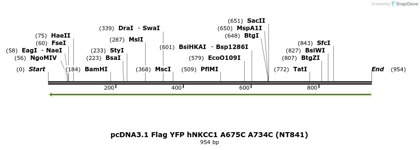 78986_map