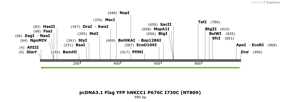 78988_map
