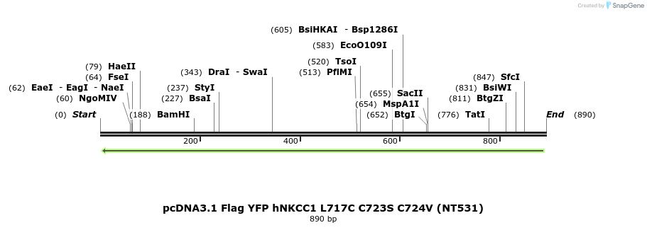 78995_map